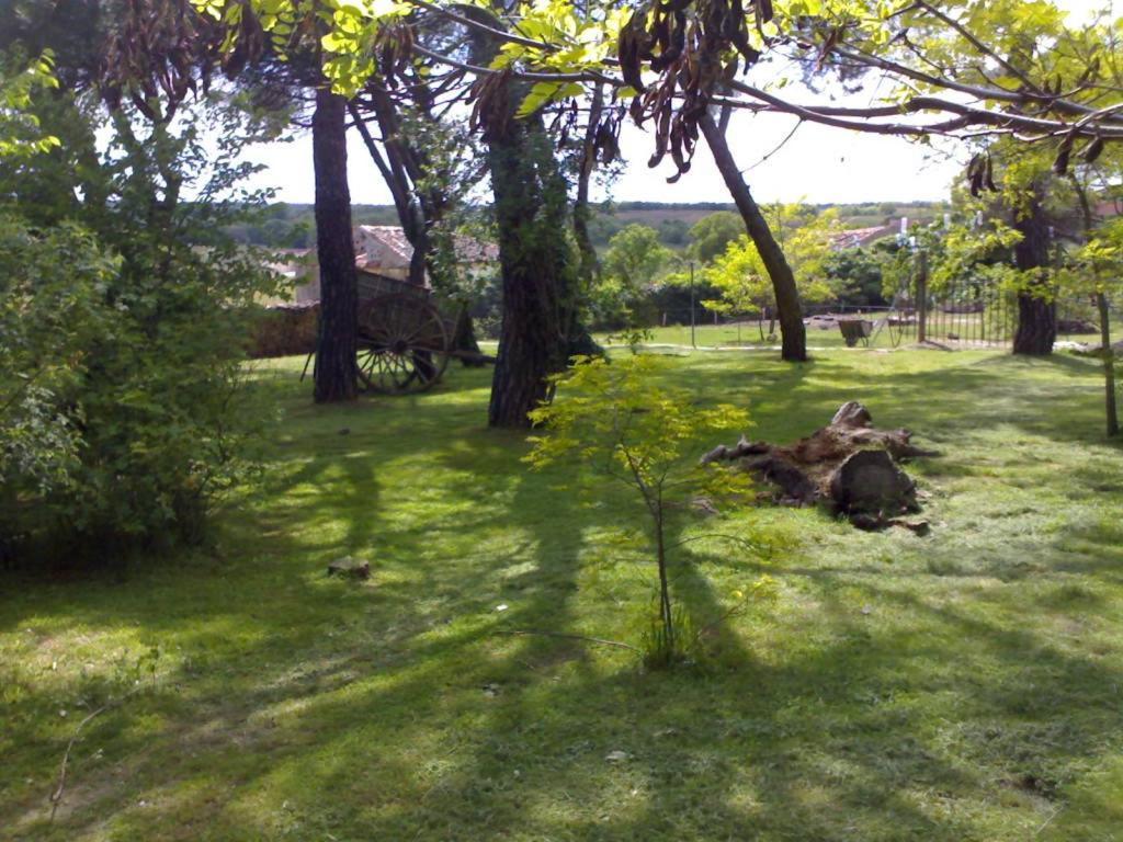 El Senorio De La Serrezuela Aldeanueva de la Serrezuela Exterior foto